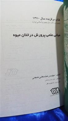 مبانی