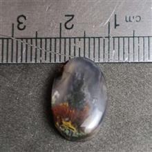 خرید