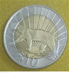 سکه
