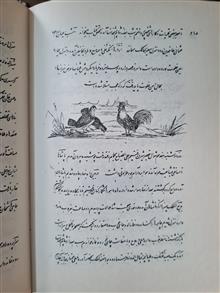 سفرنامه