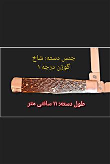 قلم