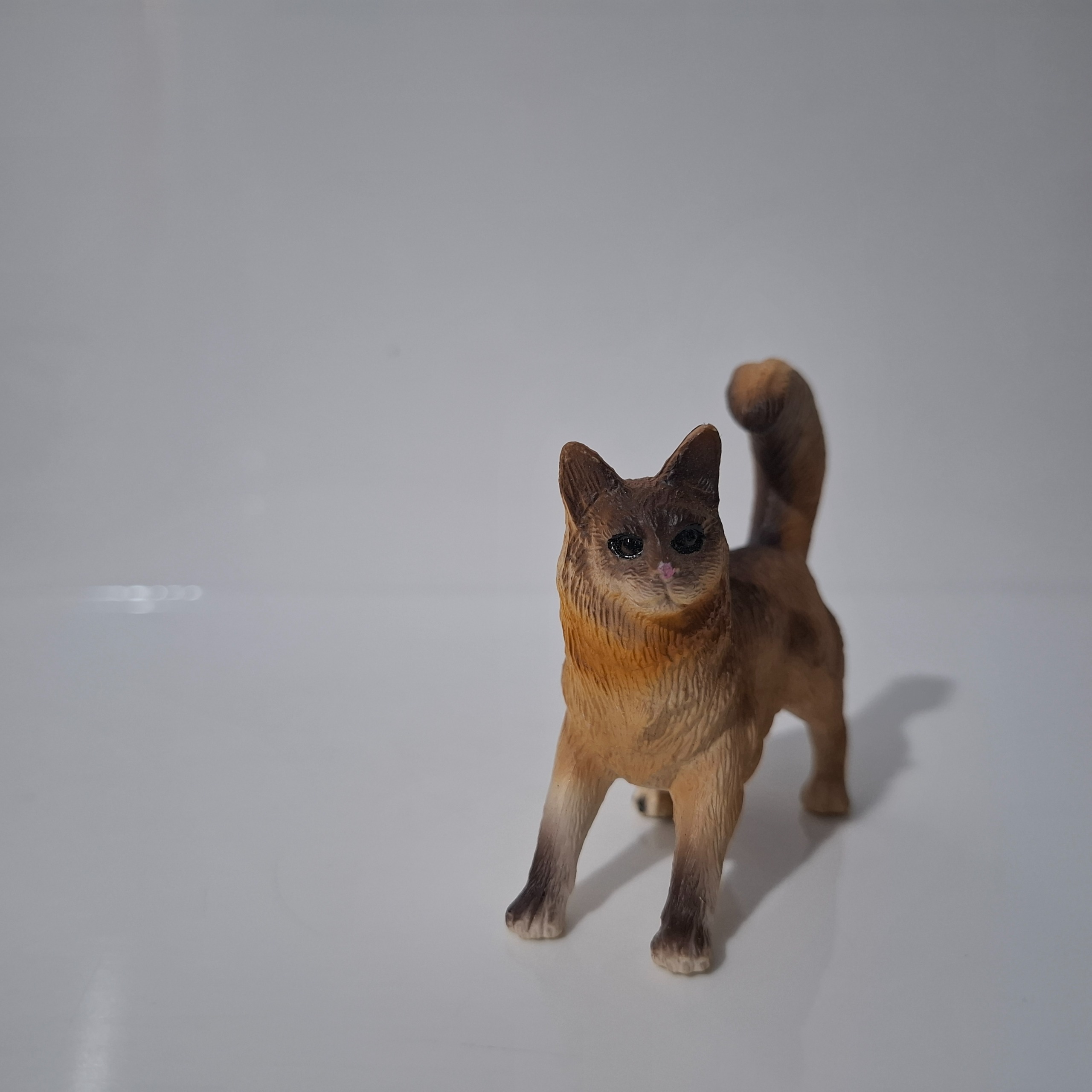 فیگور  گربه