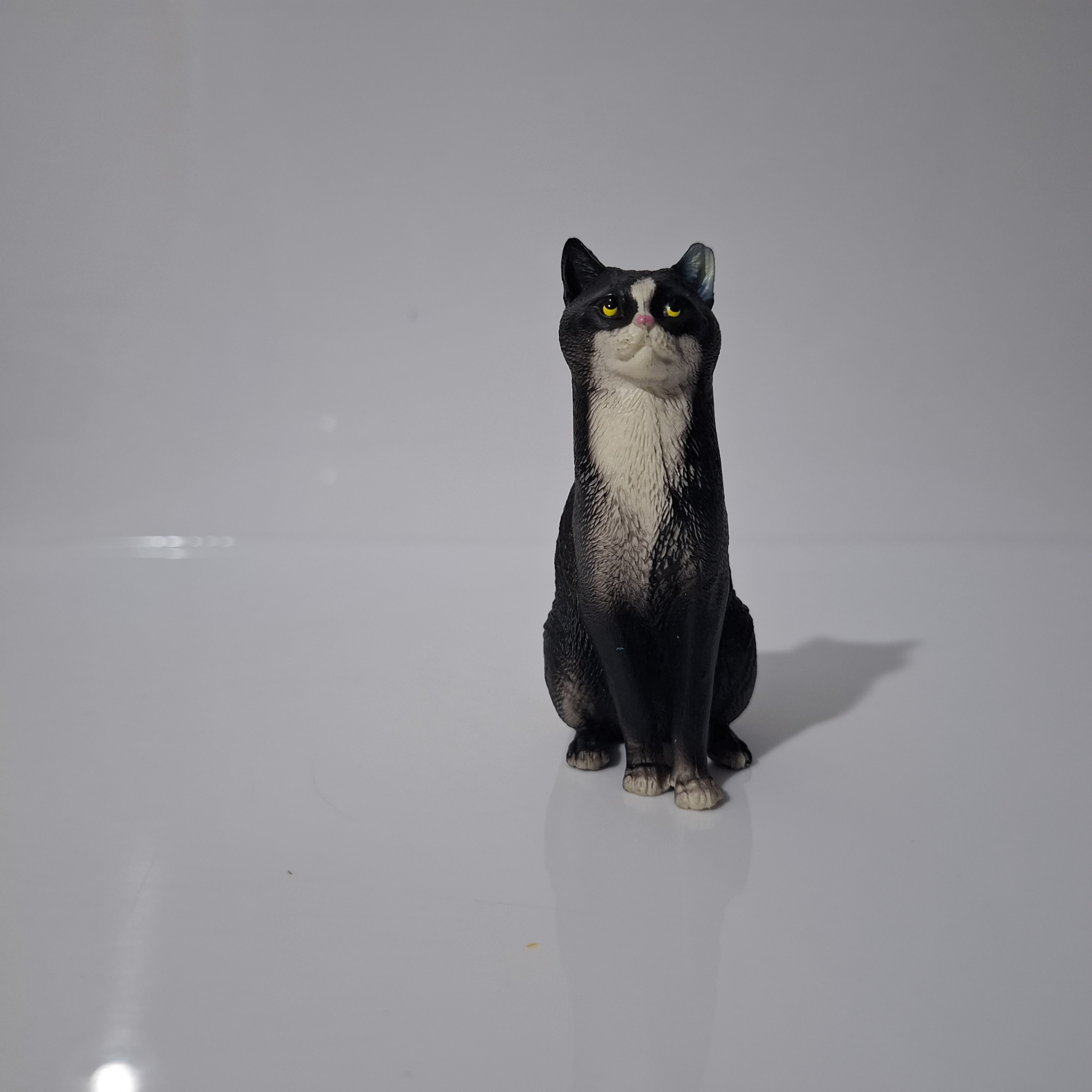 فیگور  گربه