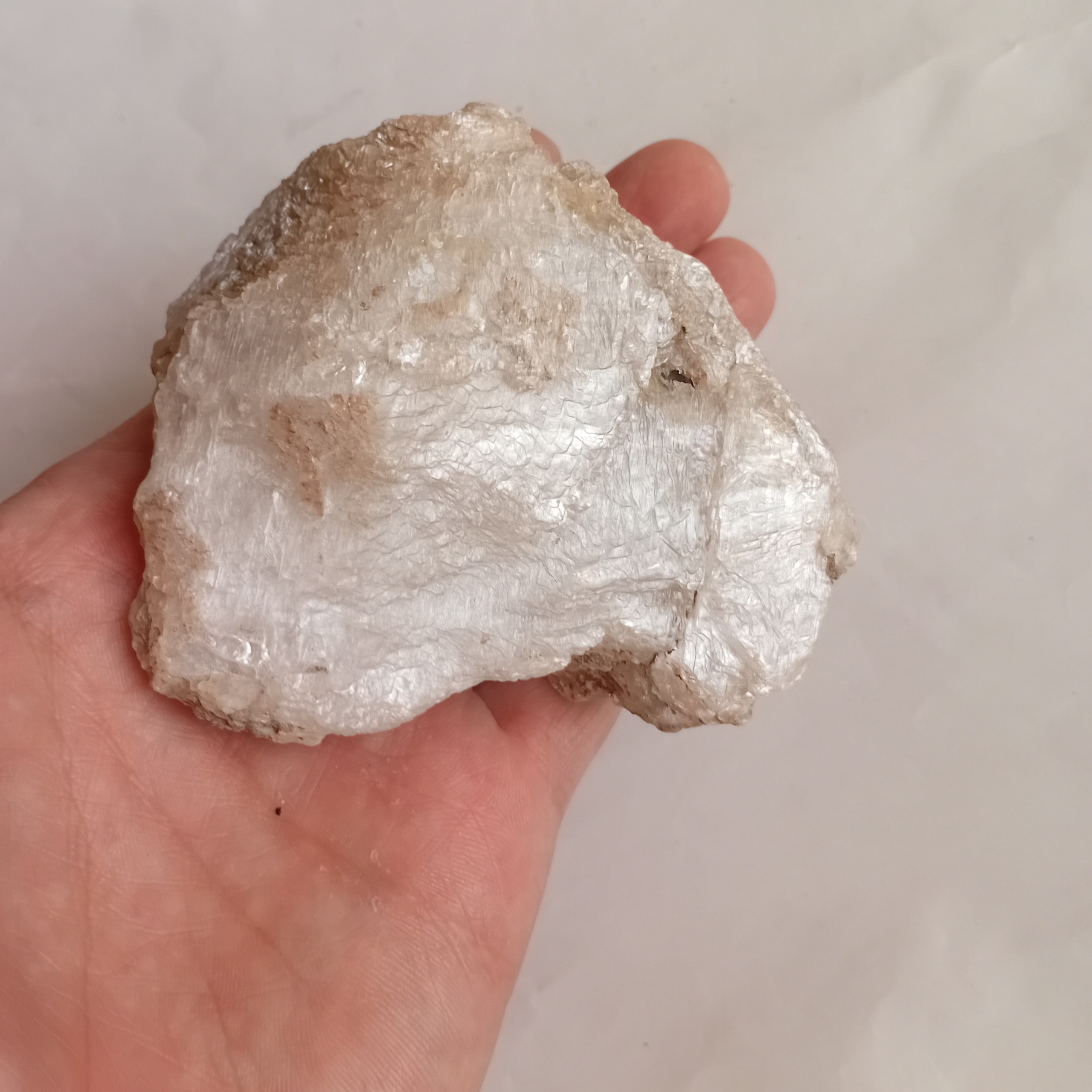 سنگ ژیپس مصور طبیعی با طرح سر شیر