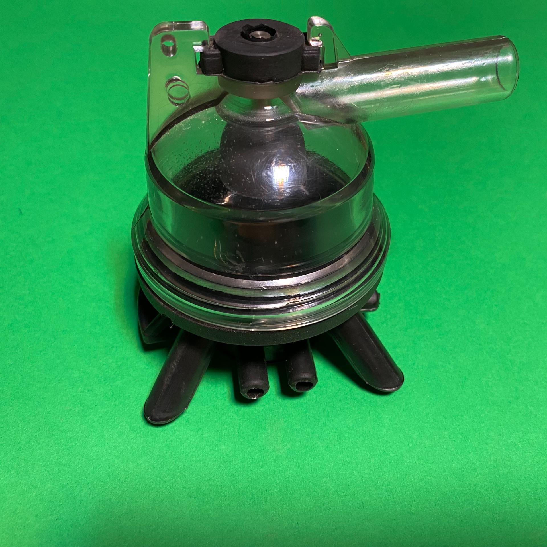 خرچنگی شیردوش کورتسان