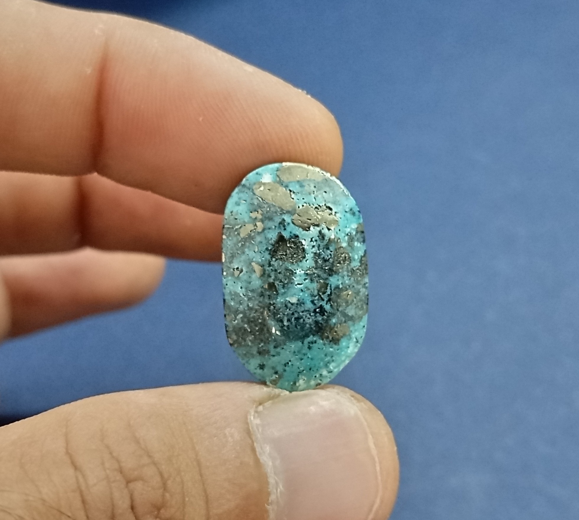 نگین فیروزه شجر درشت