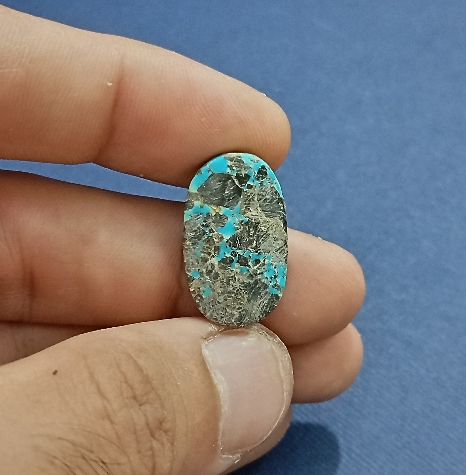 نگین فیروزه شجر نیشابوری