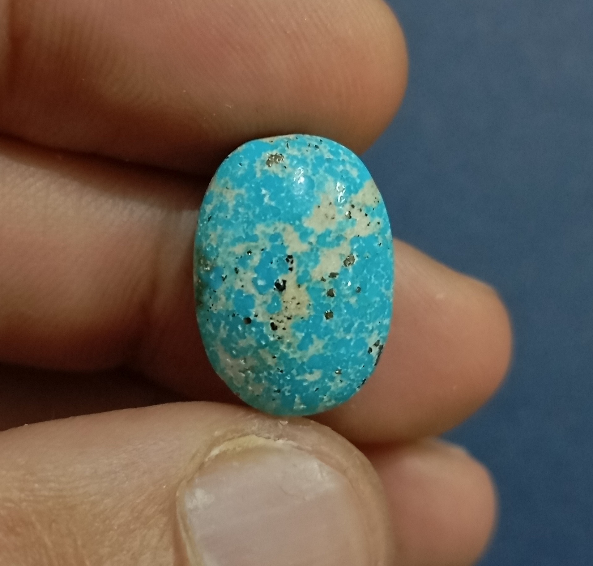 نگین فیروزه شجر پرمغز طبیعی