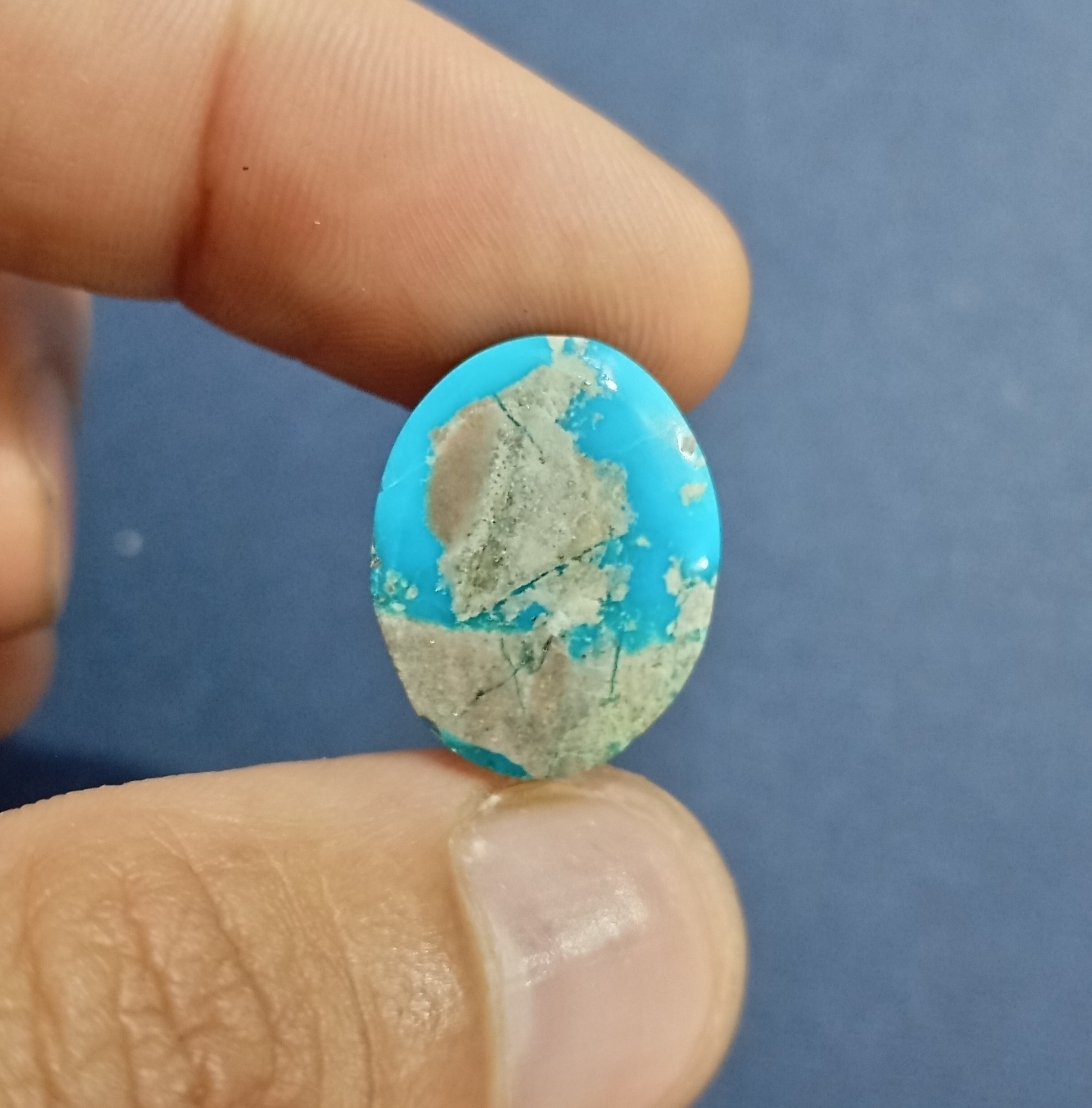 نگین فیروزه شجر طبیعی و زنده و سلامت