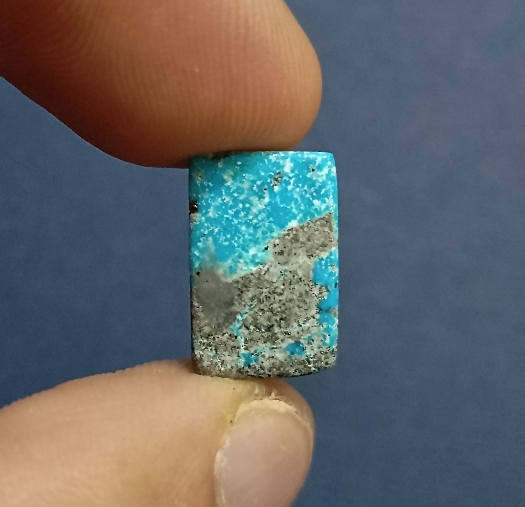 نگین فیروزه شجر طبیعی برش مستطیل