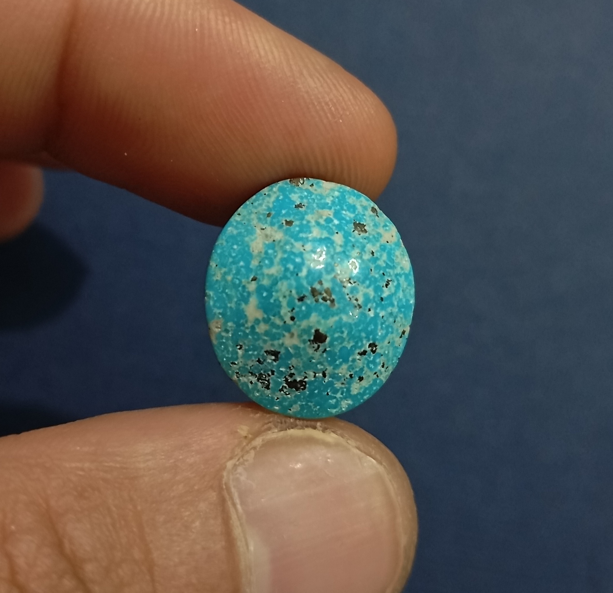 فیروزه شجر طبیعی بسیار زیبا و براق