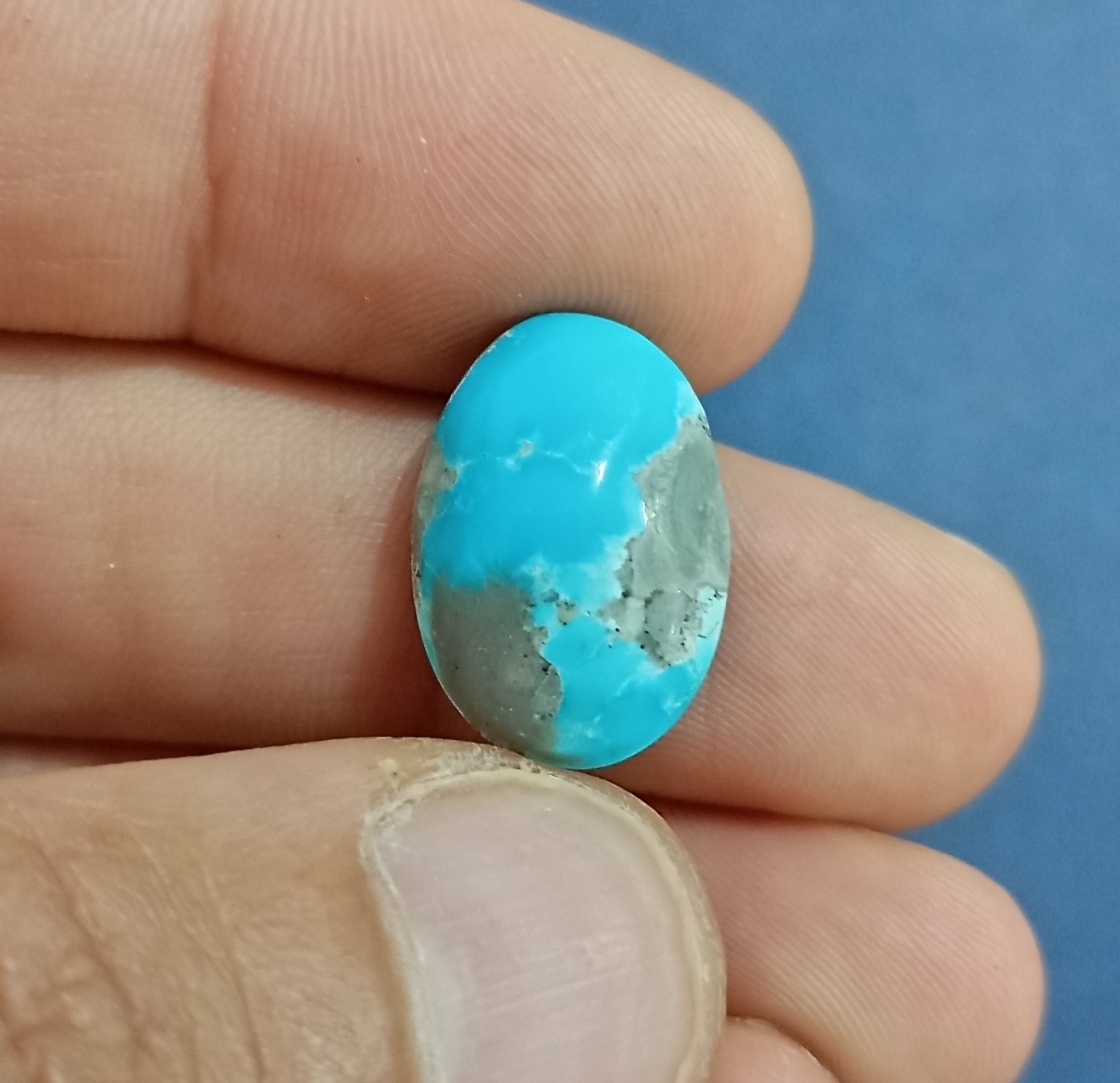 فیروزه شجر مغزی طبیعی و براق