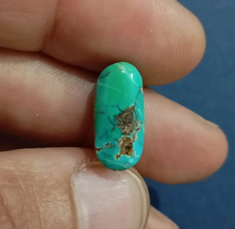 فیروزه شجر سبز نیشابوری