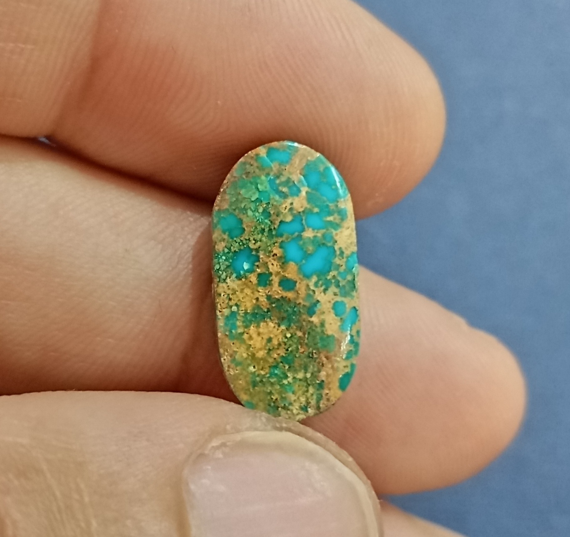 نگین فیروزه شجر نیشابور طبیعی