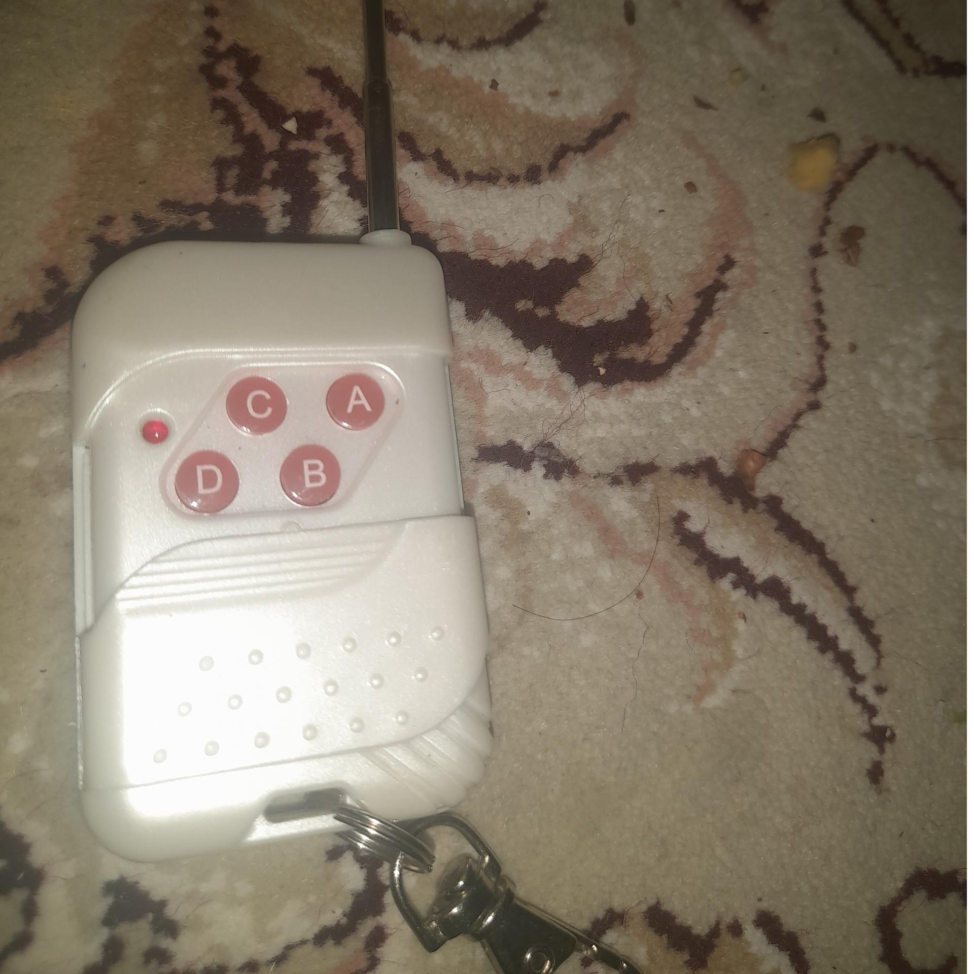 ریمونت دزد گیر