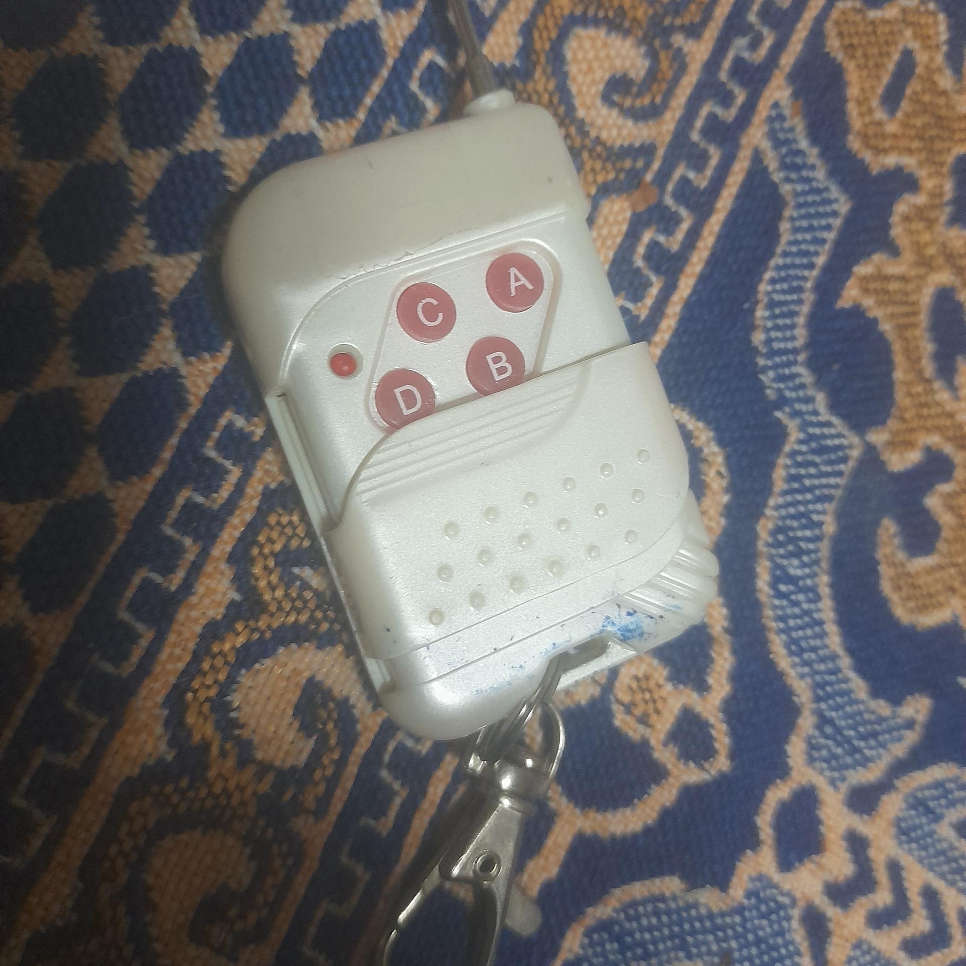 ریمونت دزد گیر