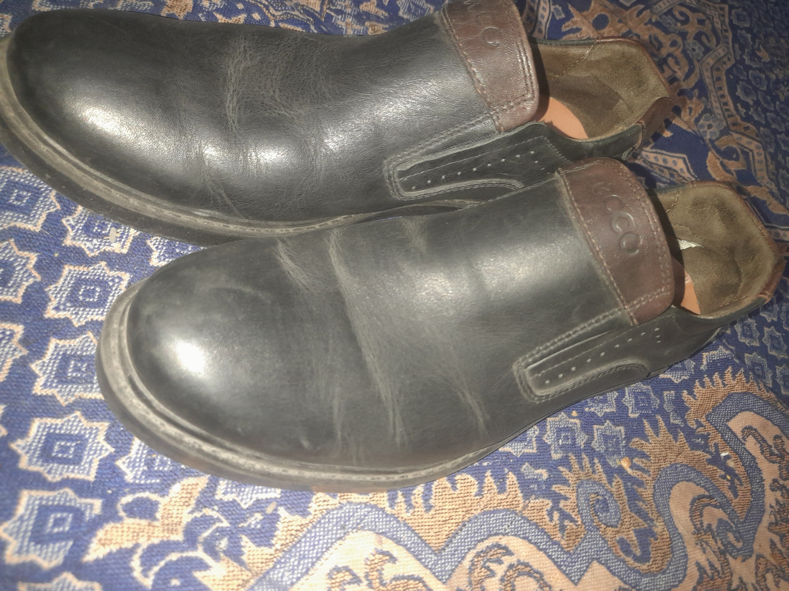 کفش چرب شماره 40