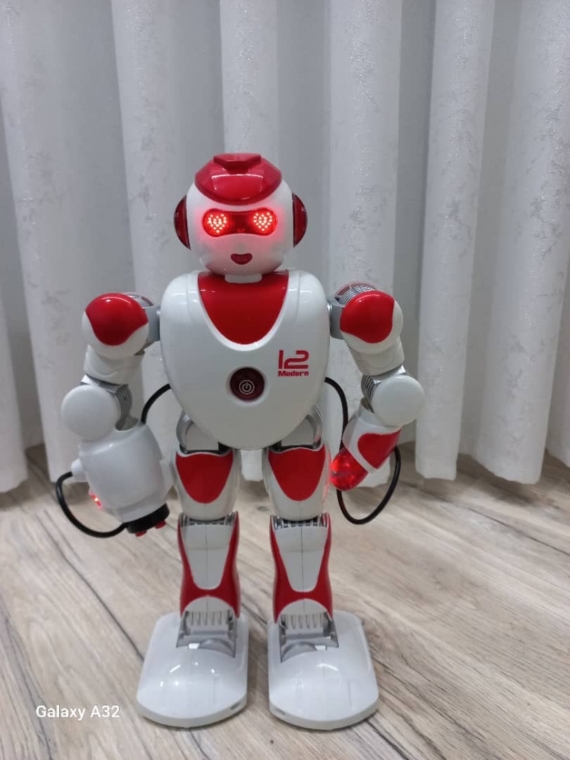 ربات کنترلی هوشمند پلیس