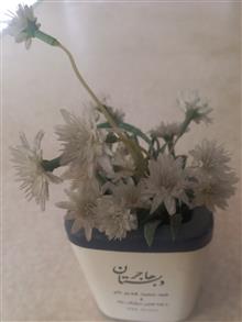جای