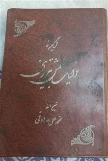 گزیده