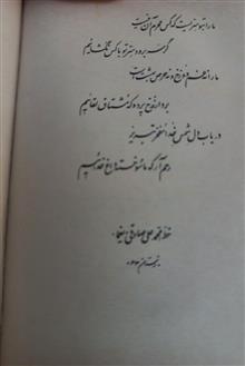 گزیده