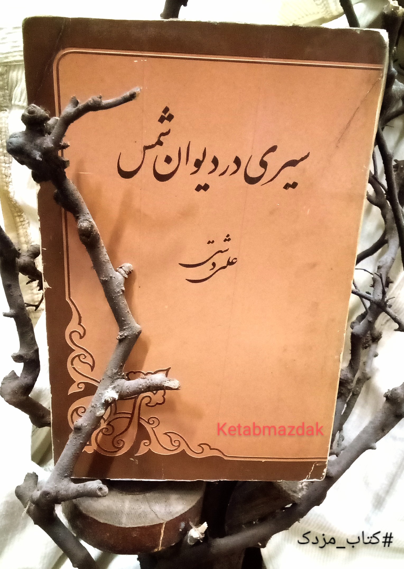 کتاب سیری در دیوان شمس