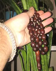 تسبیح
