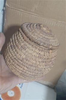 سبد