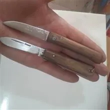 جفت