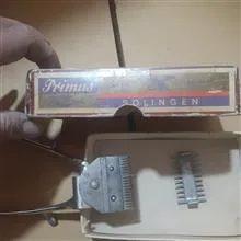 ریش