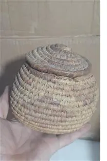 سبد