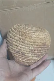 سبد