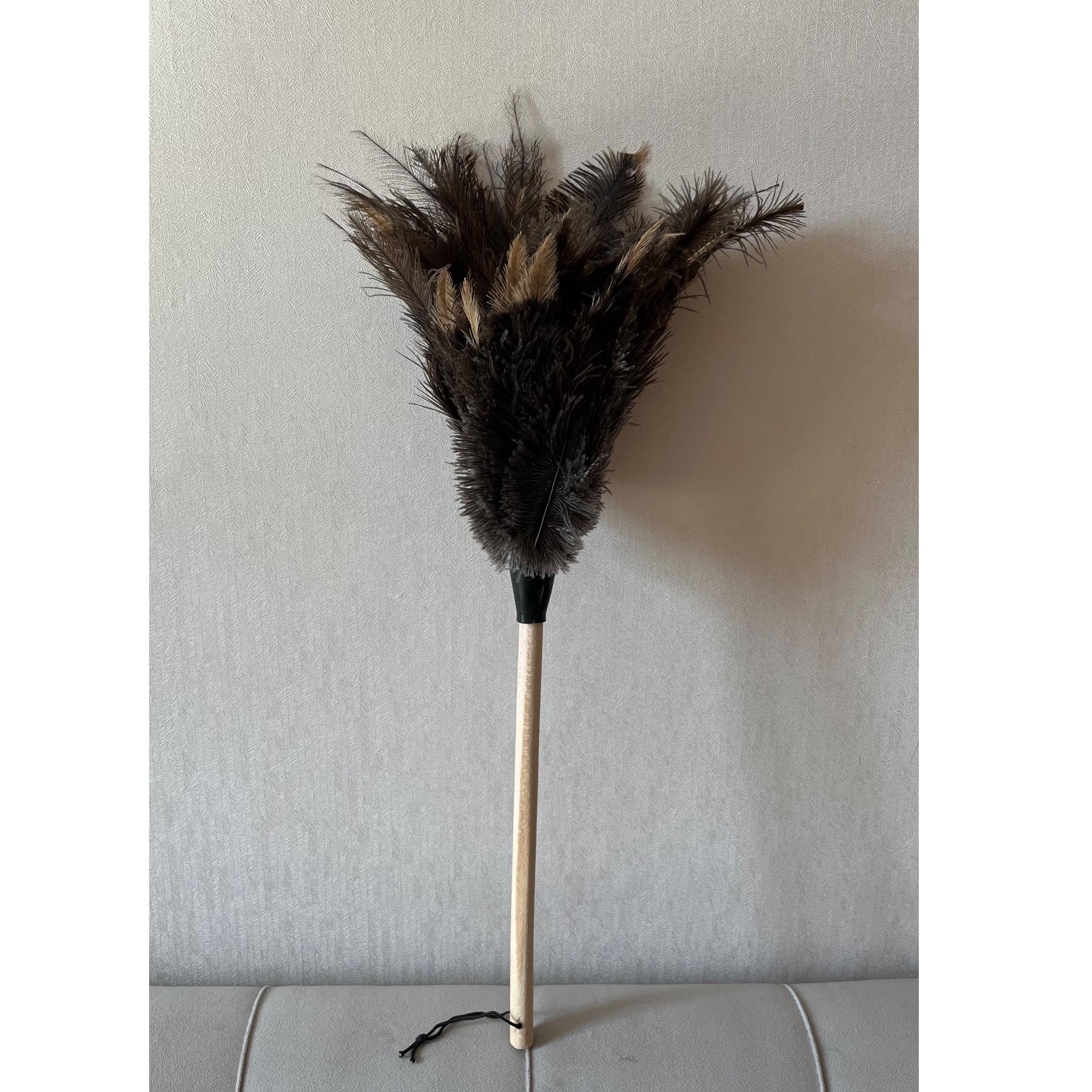 گردگیر شترمرغ داستر