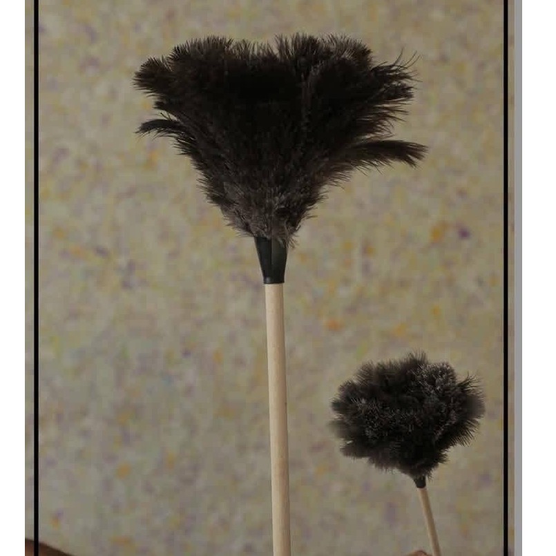 گردگیر پر چوب پر