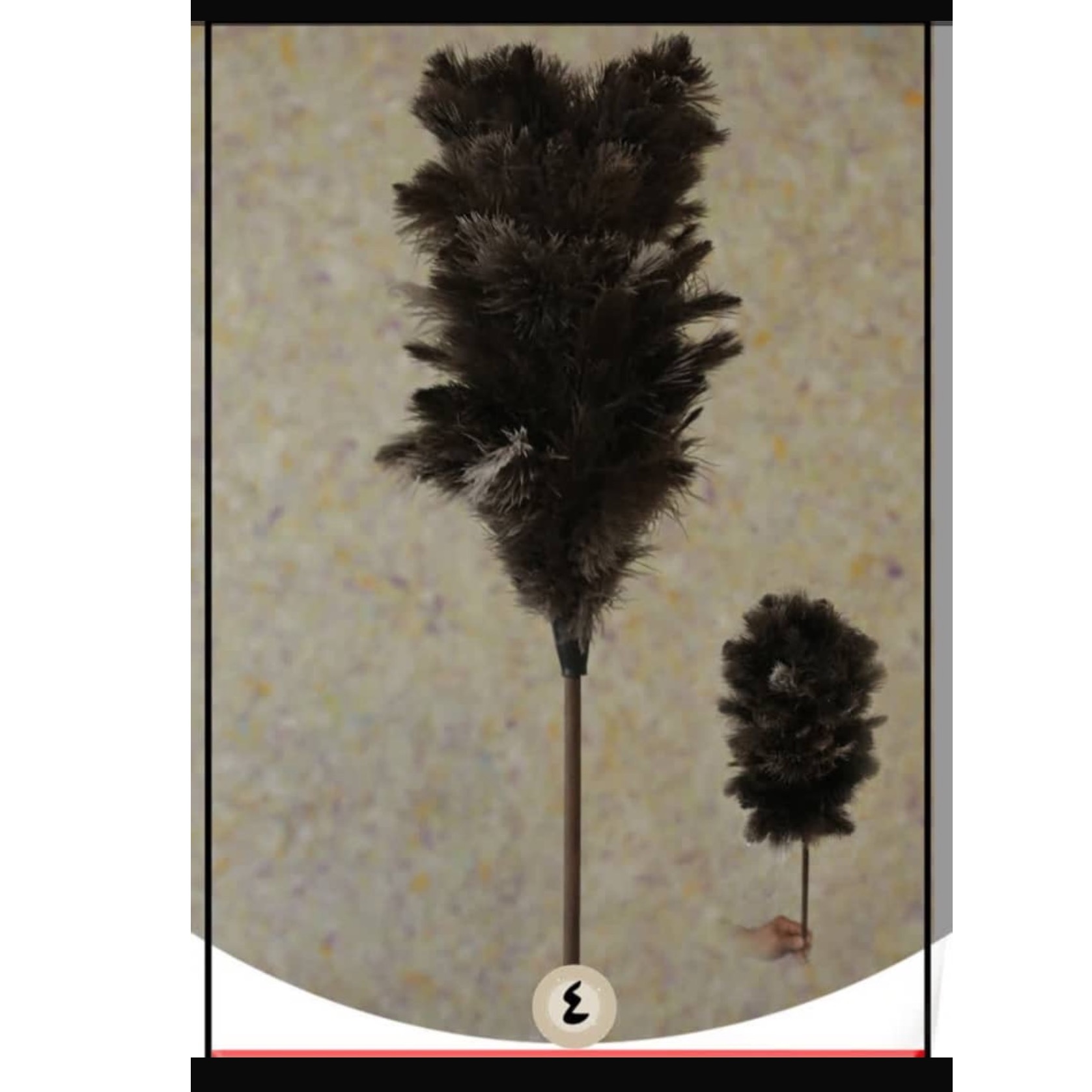 گردگیر شترمرغ پر