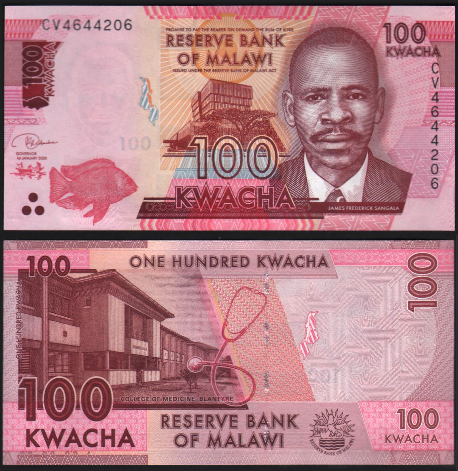 اسکناس جفت بانکی 100 کواچا مالاوی