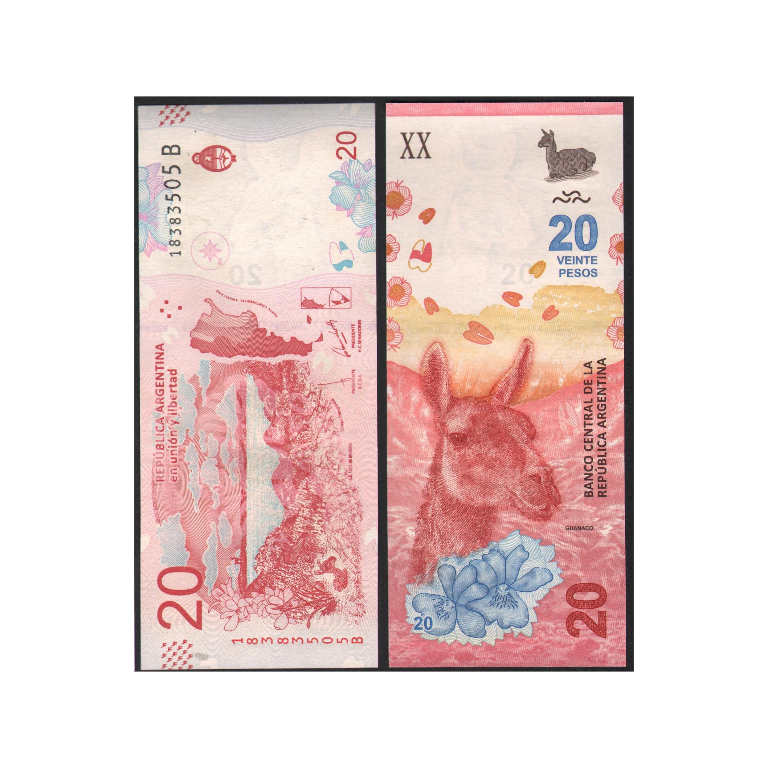 اسکناس جفت بانکی 20 پزو آرژانتین