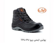 پوتین