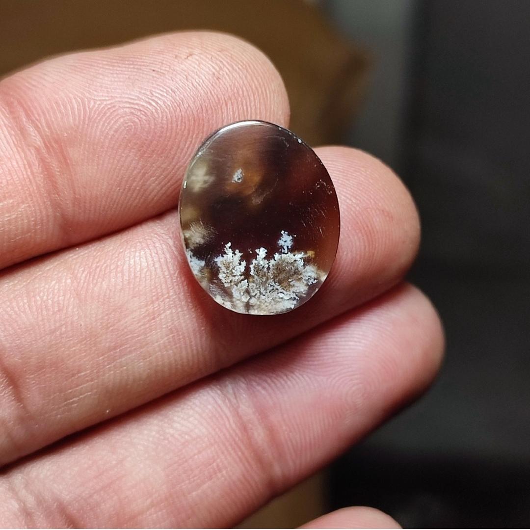 نگین شجر بهاری زمینه خوشرنگ خرمایی