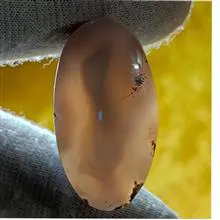 نگین