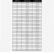 رکاب