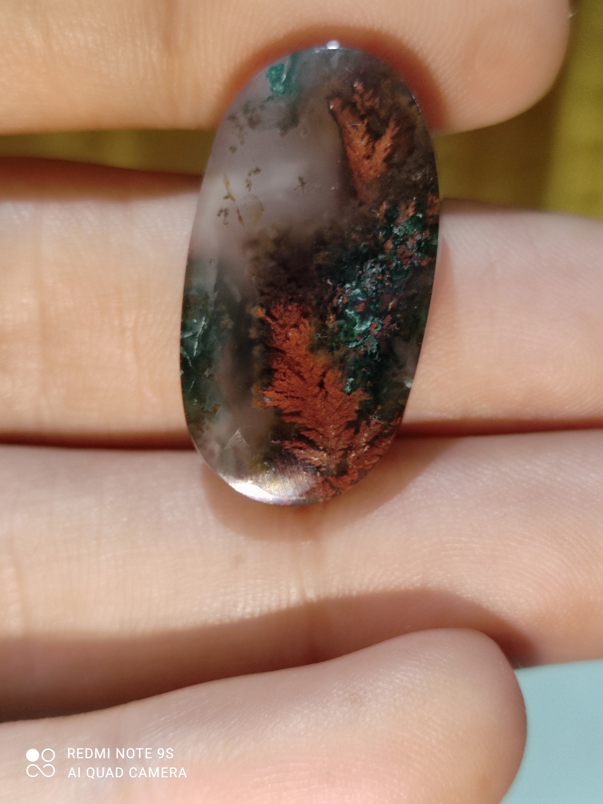 نگین ارزشمند شجر گل سرخ اناری سوزنی بینظیر