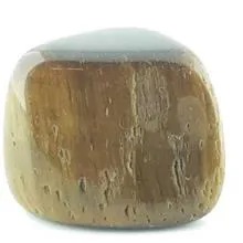 تامبل