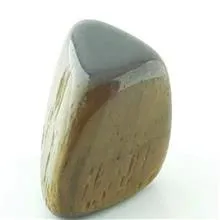 تامبل