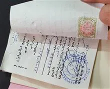 پروانه