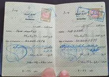 پروانه