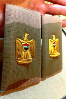 سردوشی