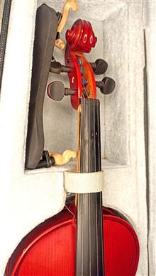 ویولن