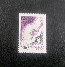 تمبر
