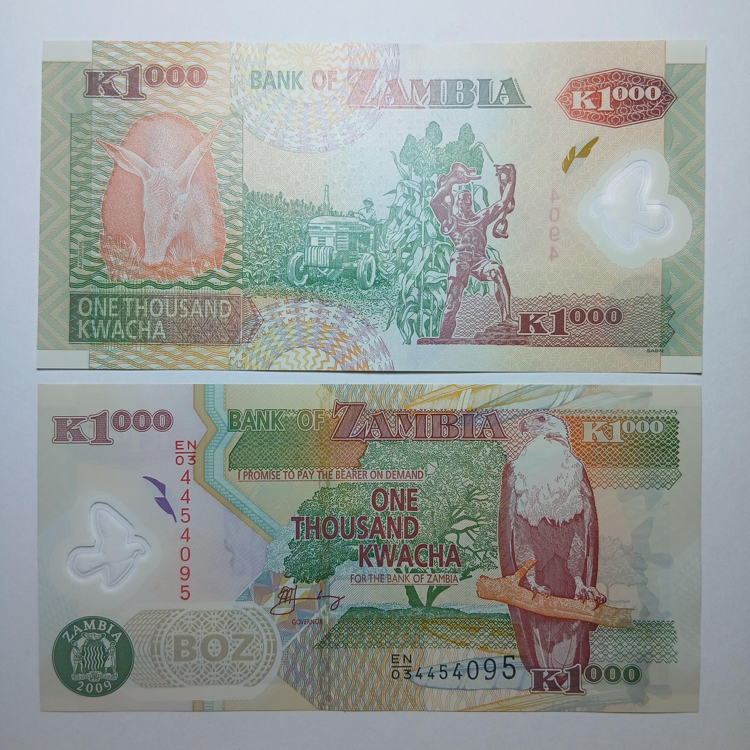 اسکناس 1000 کواچا پلیمری زامبیا عقاب ماهیخوار